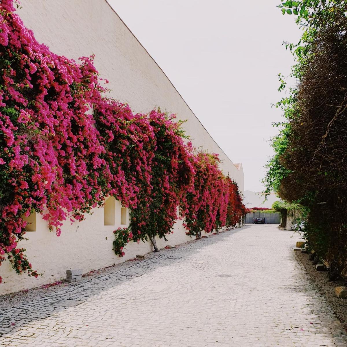 Apartamento Convento Das Bernadas Tavira Exterior foto